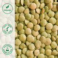 Close-up of organic green lentils