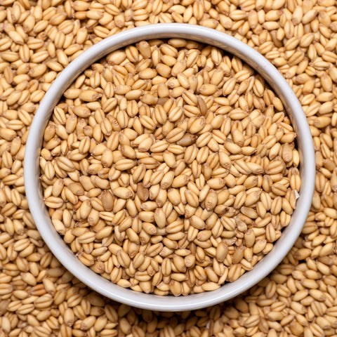 Bowl of organic wheat berries hard red winter