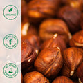 Close-up of organic hazelnuts
