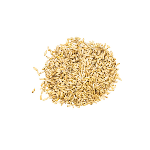 Organic hulless oats on white background