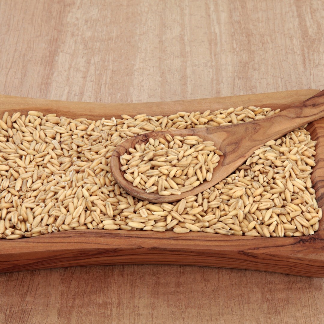 Organic Hulless Oats – Sprout or Cook – SunOrganic Farm