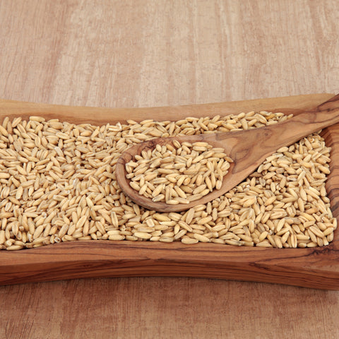 Bowl of organic hulless oats