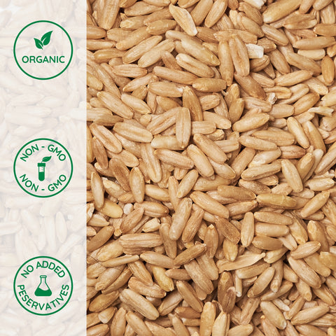 Close-up of organic hulless oats