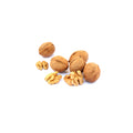 Organic in-shell Jumbo Hartley walnuts on a white background