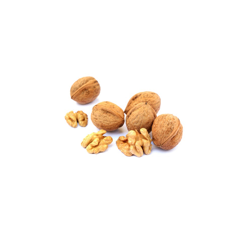 Organic in-shell Jumbo Hartley walnuts on a white background