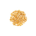 Whole grain organic Kamut on white background