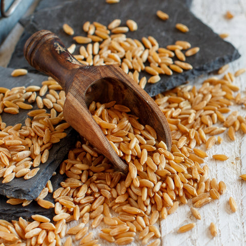 Scoop of whole grain organic Kamut