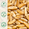 Close-up of whole grain organic Kamut