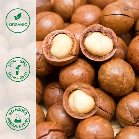 Close-up of whole organic macadamia nuts
