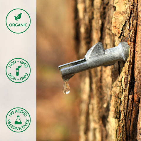 Close-up of organic maple syrup