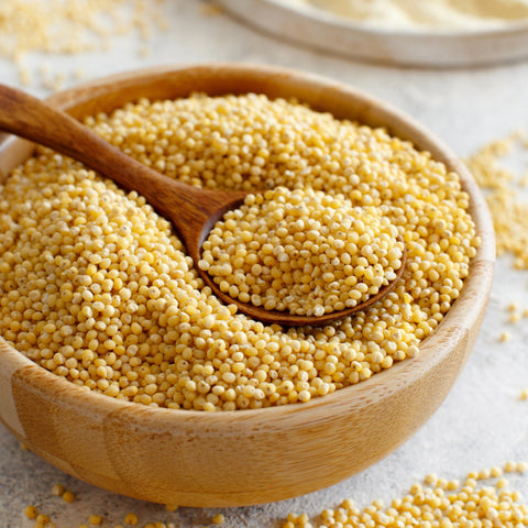 Bowl of organic hulled millet proso variety