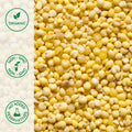 Close-up of organic hulled millet proso variety