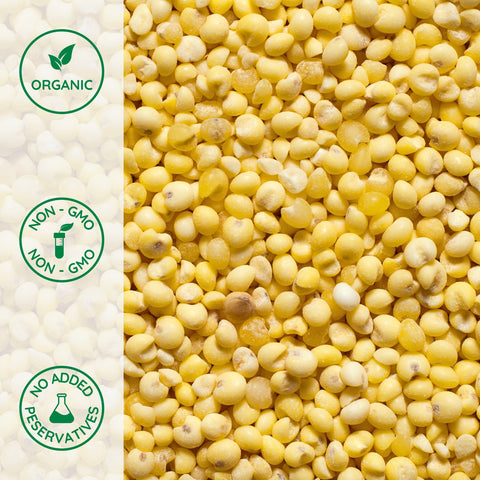 Close-up of organic hulled millet proso variety