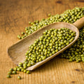 Scoop of organic mung beans