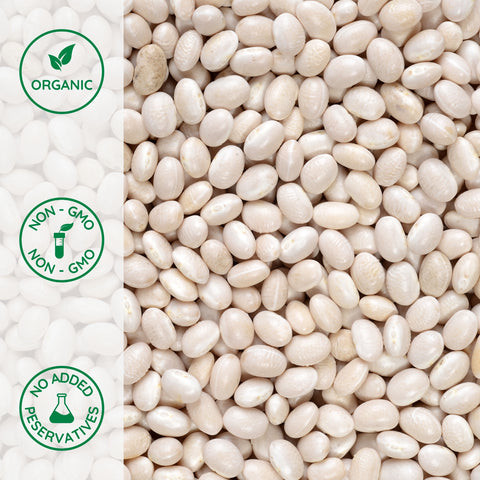 Close-up of organic navy beans (haricot)