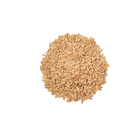 Organic oat groats on a white background