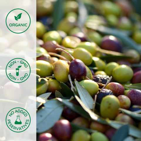 Close-up of organic olives