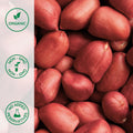 Close-up of raw organic peanuts with skin on