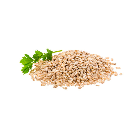 Organic pearled barley grains on white background