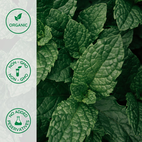 Close-up of organic peppermint leafs