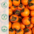 Close-up of organic hachiya persimmons