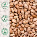 Close-up of organic dried pinto beans