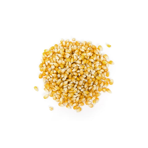 Organic yellow popcorn kernels ready for popping on white background