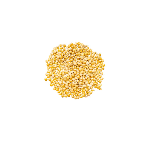 Whole organic proso millet grains with shell on a white background