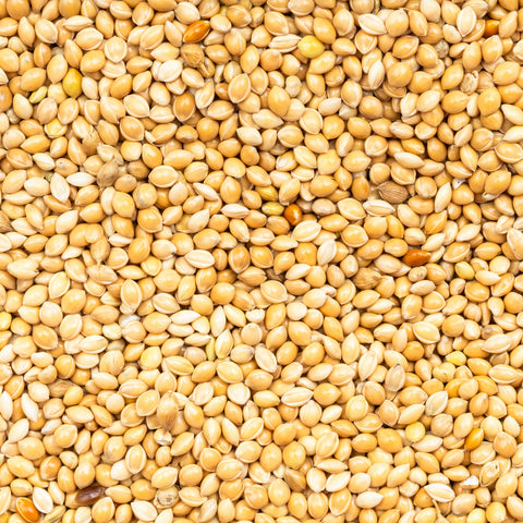 Whole organic proso millet with shell