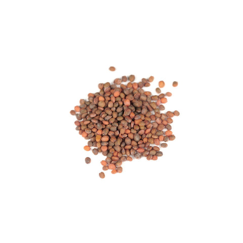Organic daikon radish seeds on a white background