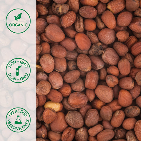 Close-up of organic daikon radish seeds