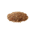 Whole organic red lentils on a white background