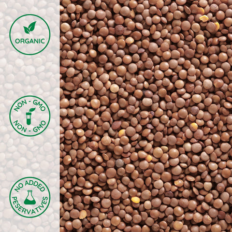 Close-up of whole organic red lentils