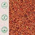 Close-up of organic red quinoa