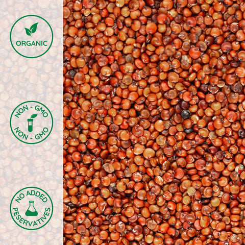 Close-up of organic red quinoa