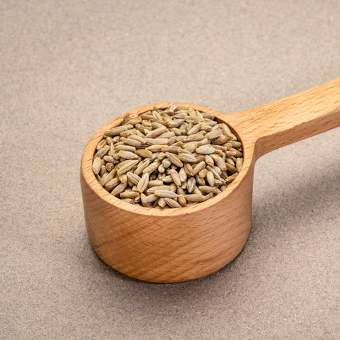 Scoop of organic whole rye berries