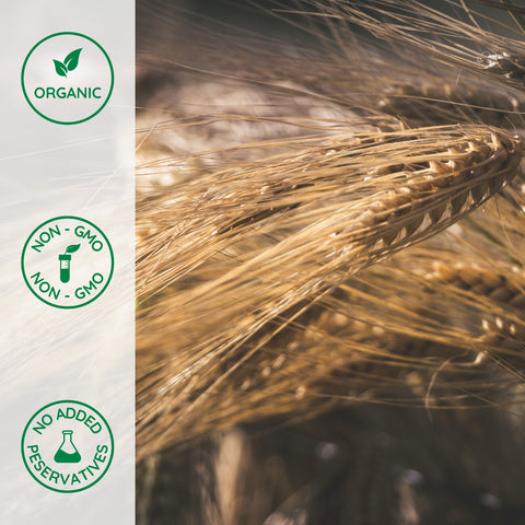 Organic whole grain rye