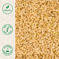 Close-up of organic short grain brown rice