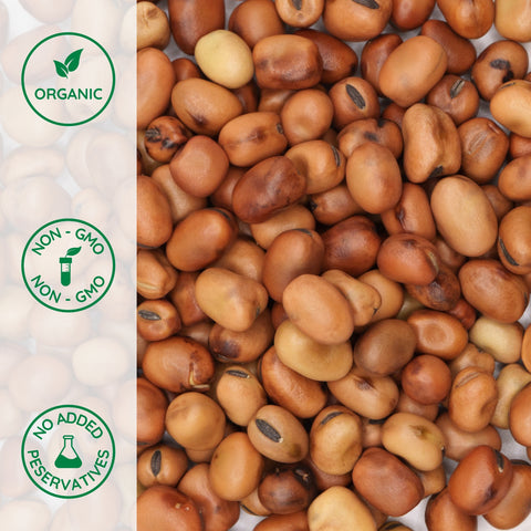 Close-up of organic small fava beans