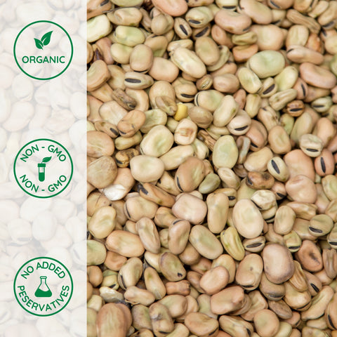 Close-up of organic small fava beans