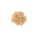 Organic whole grain spelt berries - whole, nutrient-dense ancient grain with a sweet, nutty flavor on a white background