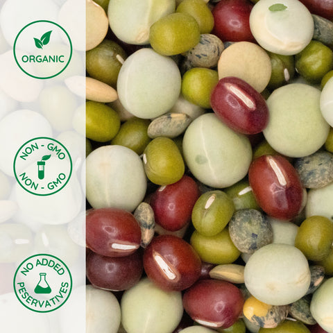 Close-up of organic sprouting bean mix