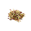 Organic sprouting bean mix on white background