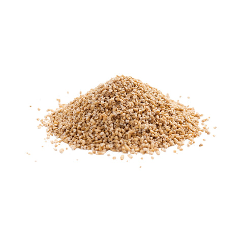 Organic oats steel cut (Irish) on a white background