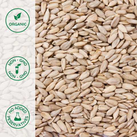 Close-up of organic sunflower seed kernels