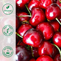 Whole organic tart cherries
