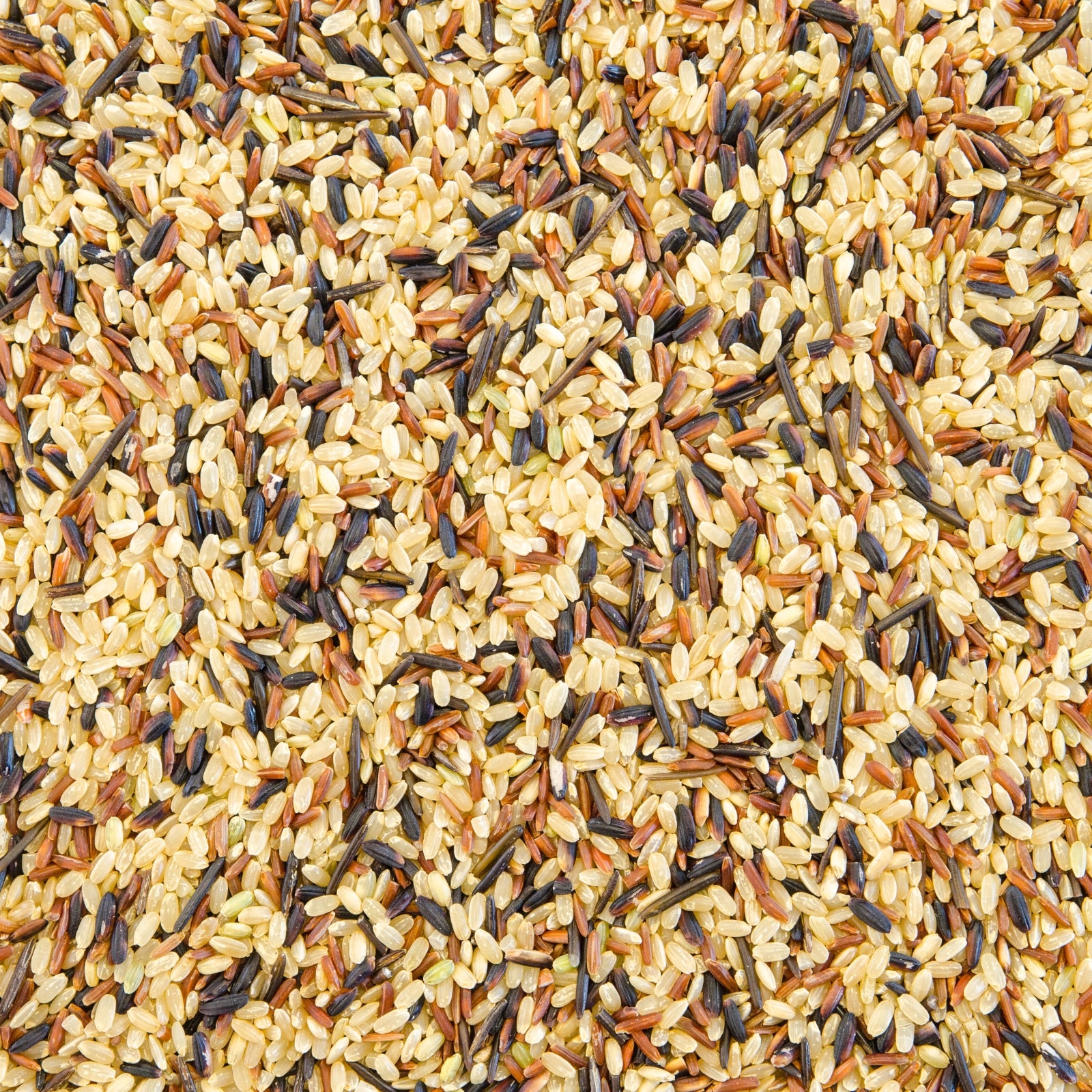 Organic 3-Rice Pilaf Blend – Brown, Basmati & Wild – SunOrganic Farm