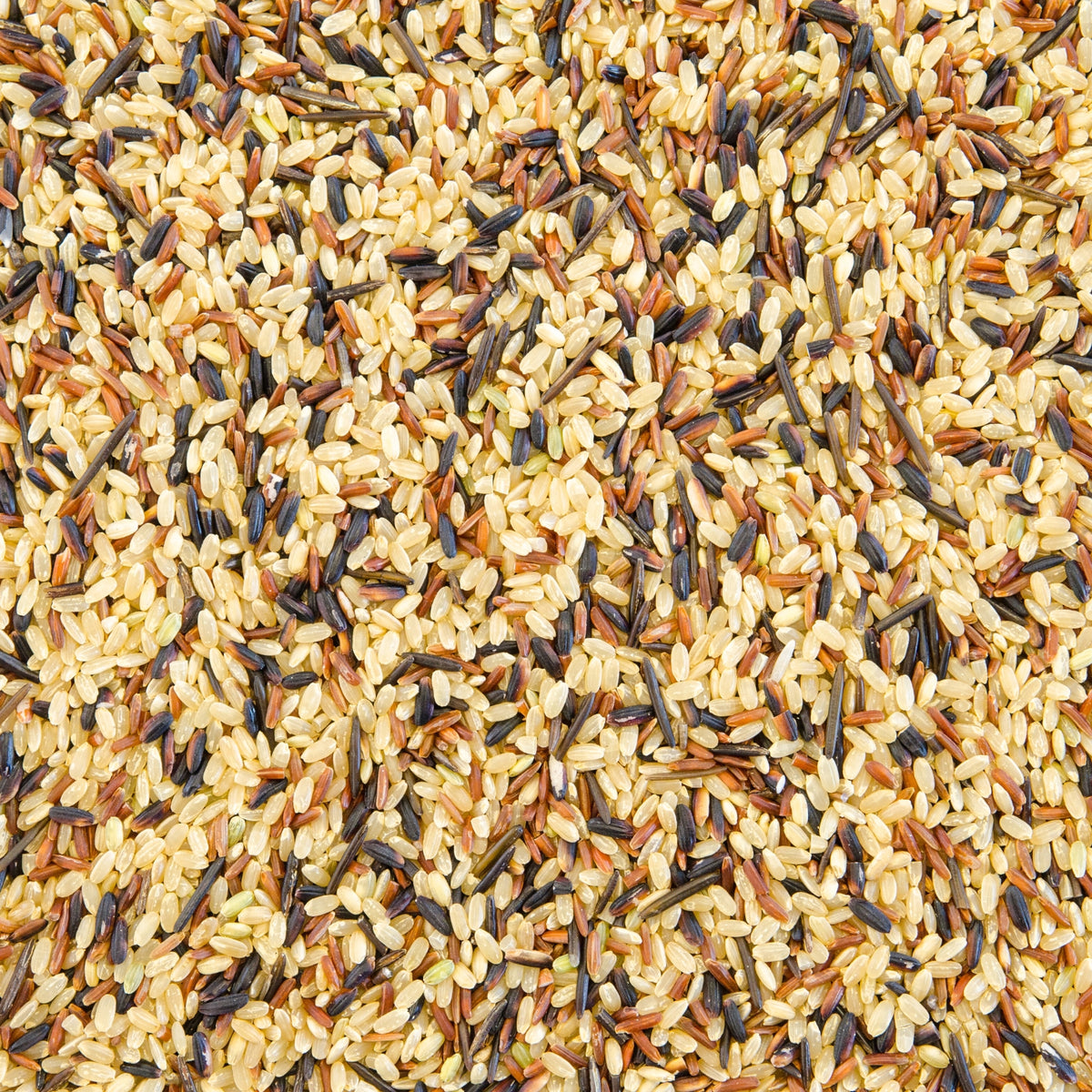 Organic 3-Rice Pilaf Blend – Brown, Basmati & Wild – SunOrganic Farm