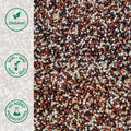 Close-up of organic white, red and black quinoa