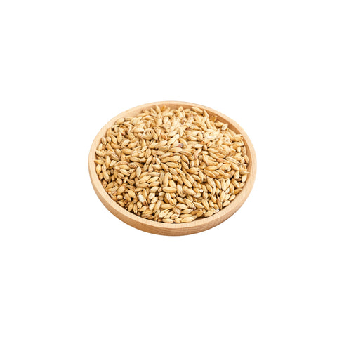 Organic triticale on a white background